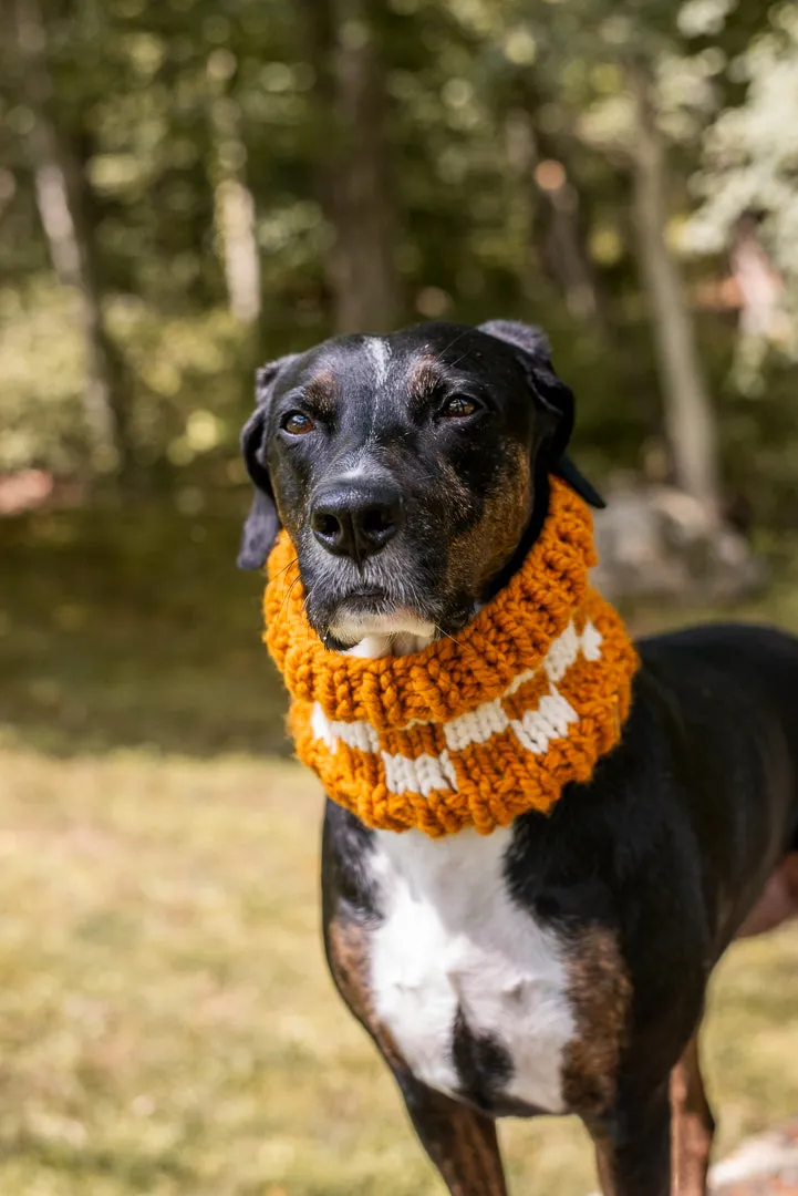 Checkered Pet Cowl
