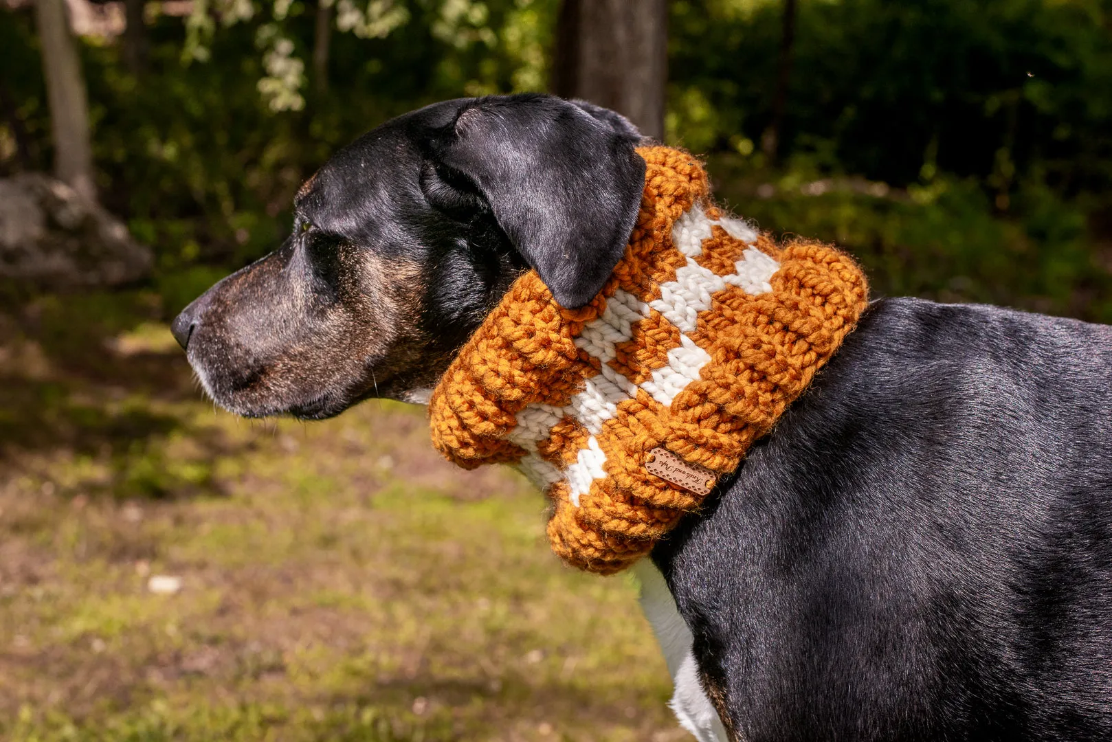Checkered Pet Cowl