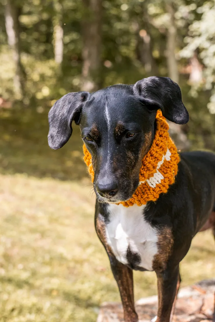 Checkered Pet Cowl