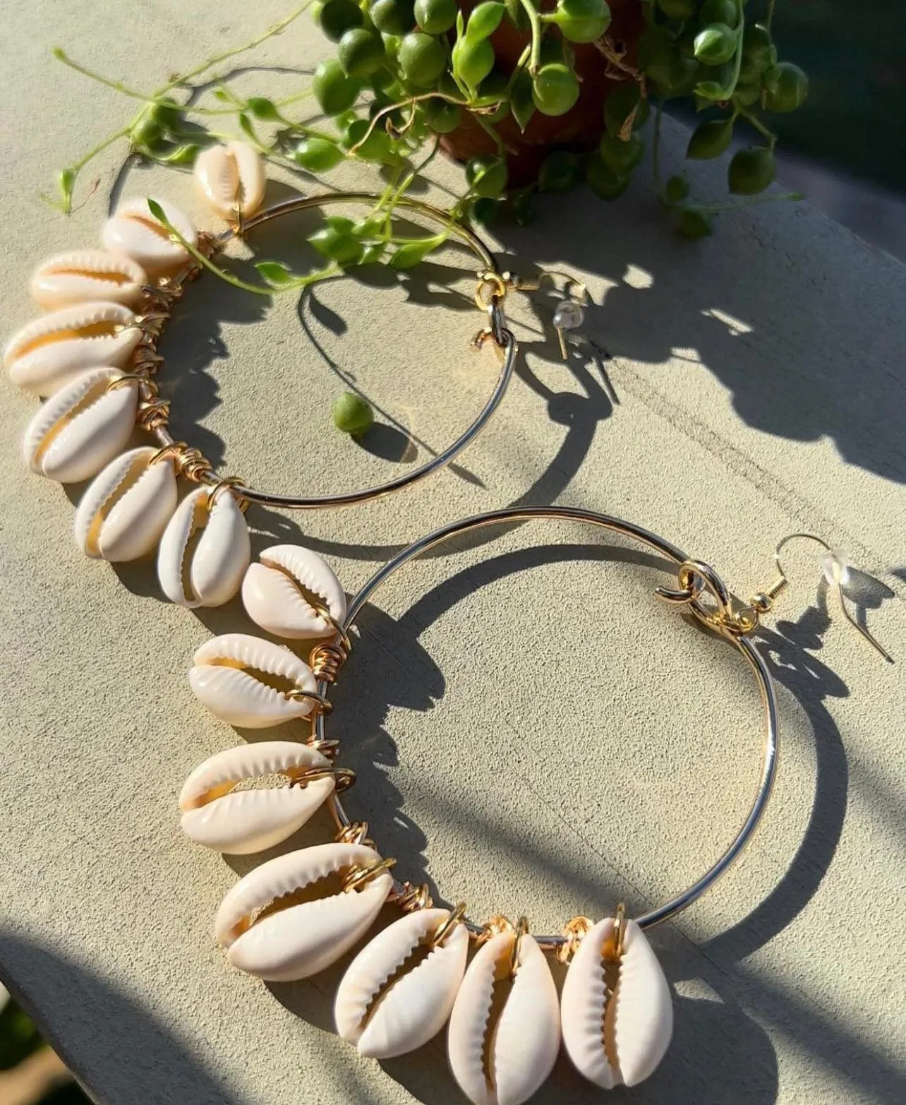 Cowrie Hoops