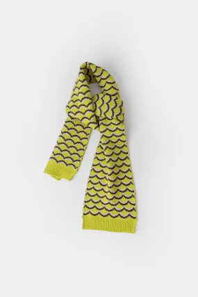 SCARF (E0107/411/701)